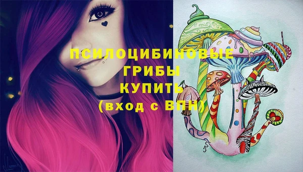метадон Гусь-Хрустальный