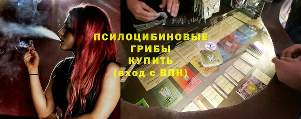 хмурый Гусев